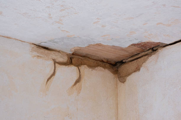 Best Flood damage cleanup  in Beverly, MA