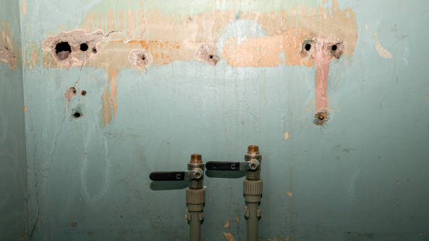 Water damage restoration experts in MA