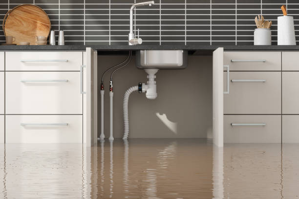 Best Flood restoration services  in Beverly, MA